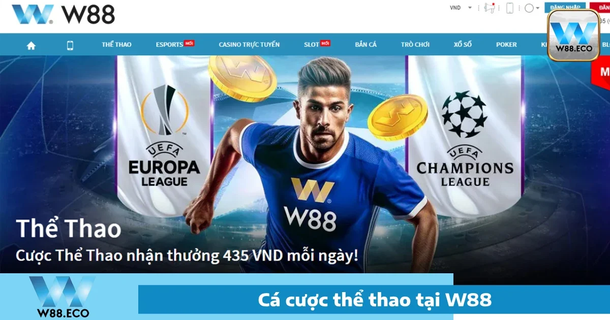 Thể Thao W88 - Cá Cược Thể Thao Uy Tín Tỷ Lệ Cực Cao 4 Ưu đãi đặc biệt tại Thể thao W88