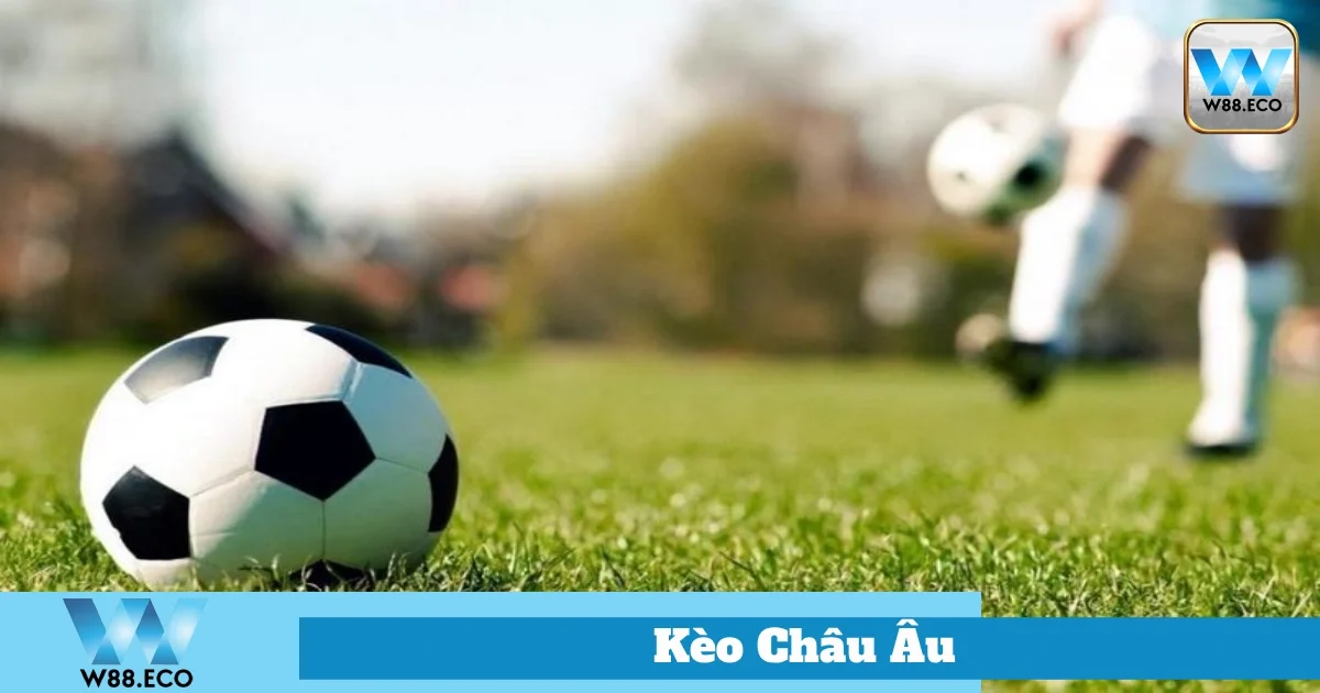 Kèo Châu Âu Là Gì? Hướng Dẫn Chọn Kèo Tại Nhà Cái W88 3 Những Điều Cần Lưu Ý Khi Chơi Kèo Châu Âu