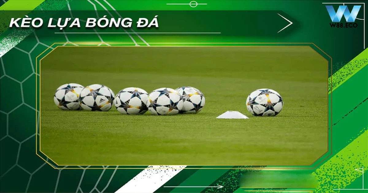 Kèo Lựa Là Gì? Cách Đặt Cược Hay Tại Nhà Cái Uy Tín W88 2 Kèo Lựa Là Gì? Sự Khác Biệt Với Các Loại Kèo Khác