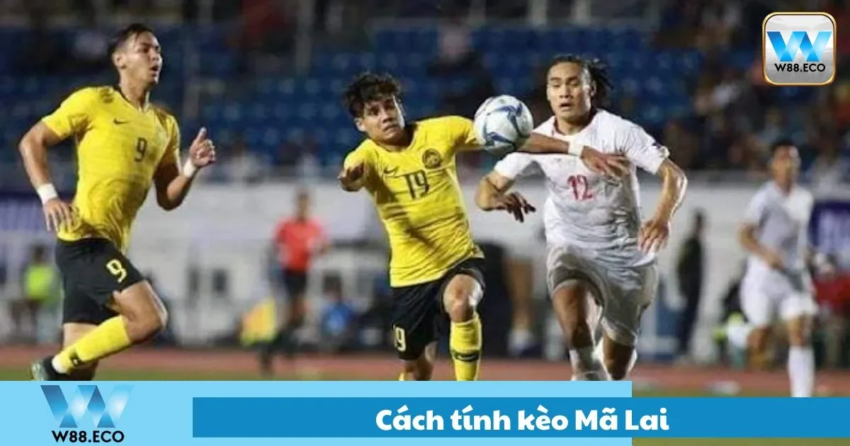 Phân tích tỷ lệ âm và dương