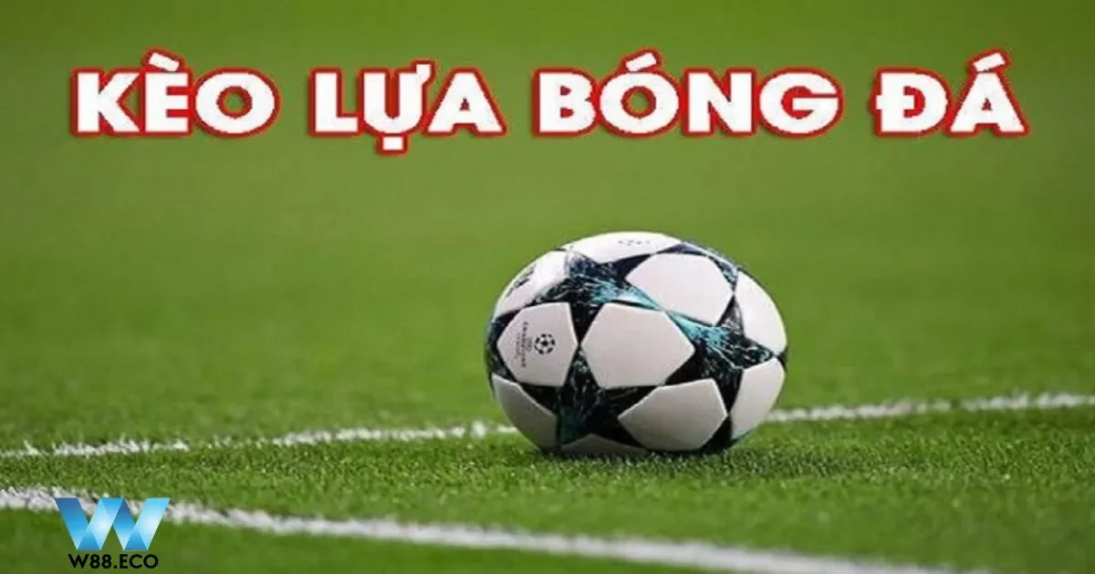 Khoảng thời gian gần sát giờ diễn ra trận đấu