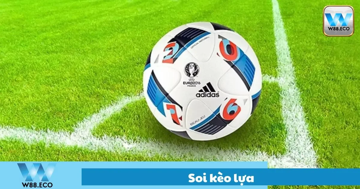 Kèo lựa là gì? Cách nhận biết cụ thể